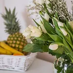 Edi Apartment Funtana