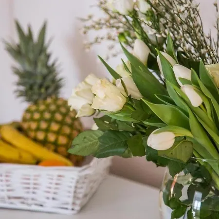 Edi Appartement Funtana